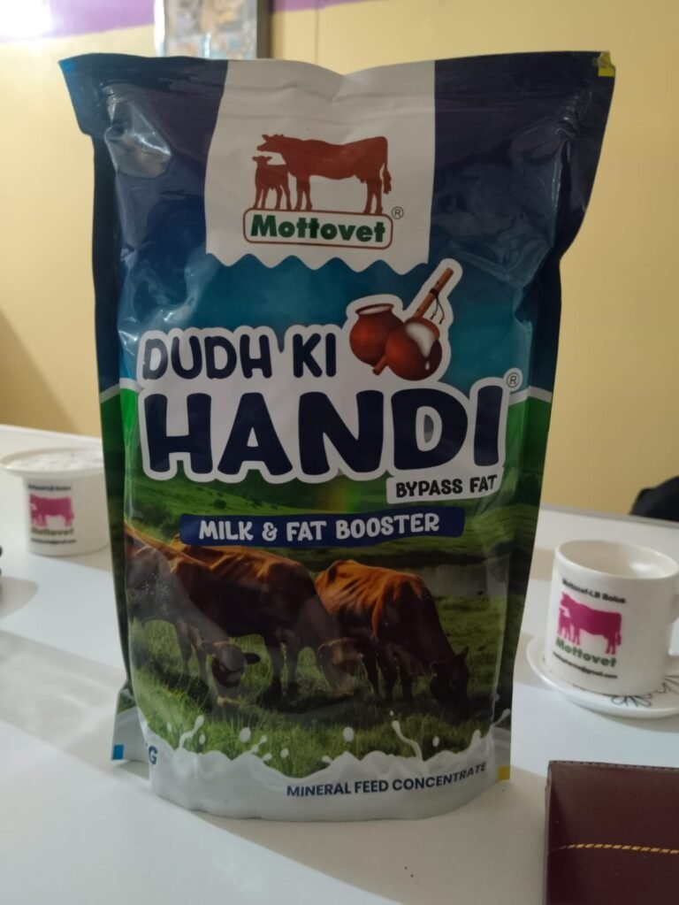 Mottovet Dudh ki Handi