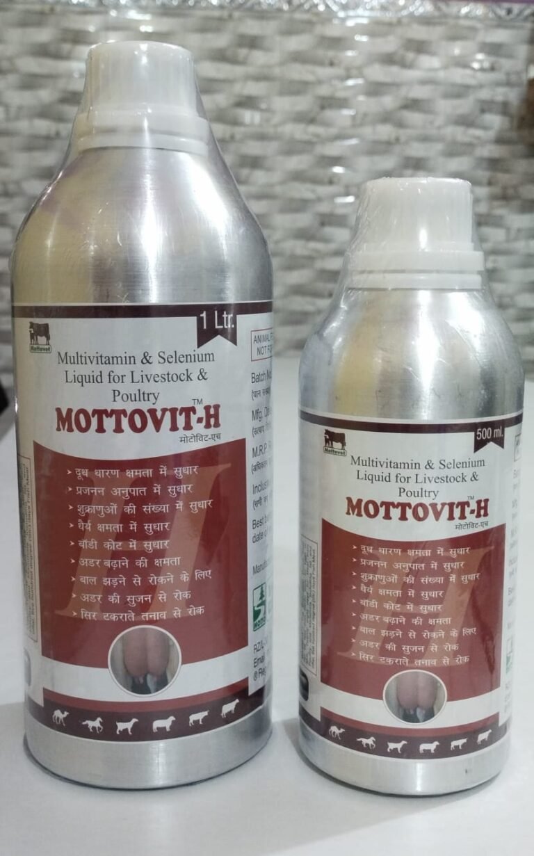 Mottovit H